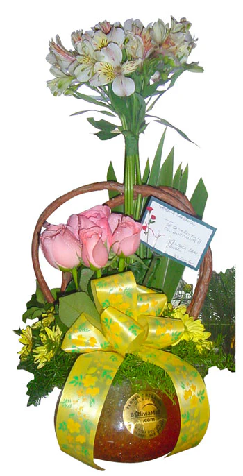 Imagen del producto 1