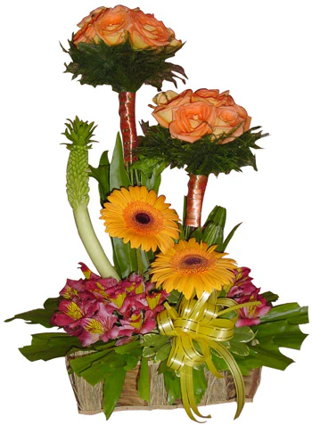 Imagen del producto 1